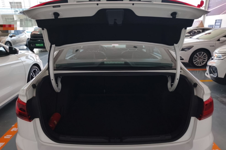 Volkswagen Bora 2024 car image #19