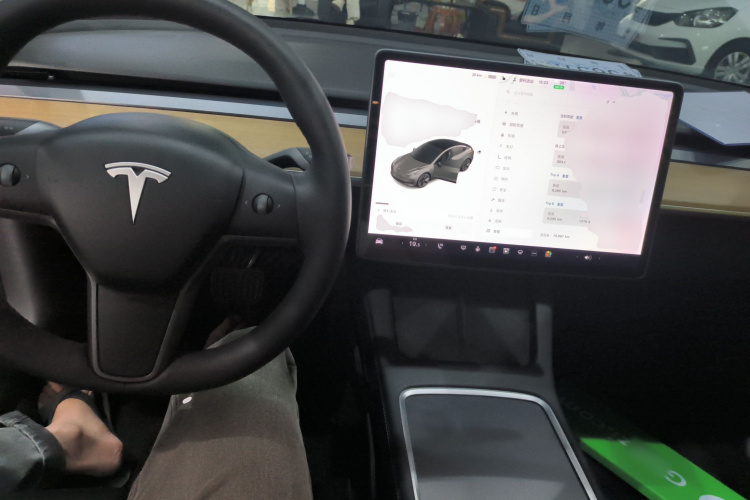 Tesla Model 3 2021 #10 Tesla Model 3 2021 car image #10