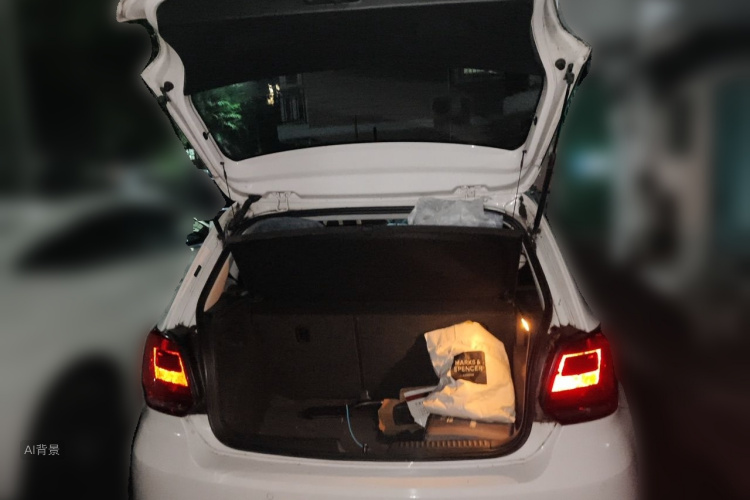 Volkswagen Polo 2016 car image #21