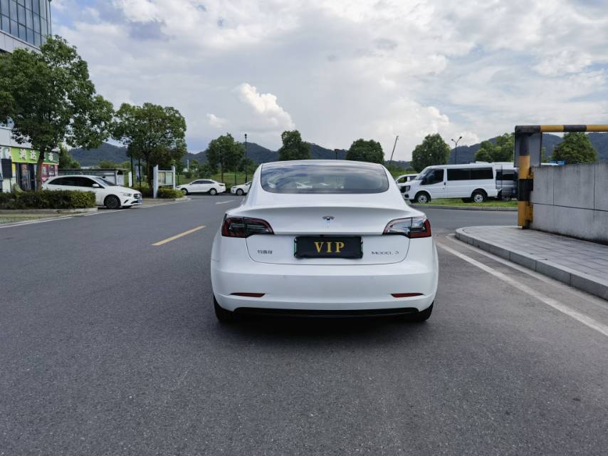 Tesla Model 3 2021 #6 Tesla Model 3 2021 car image #6