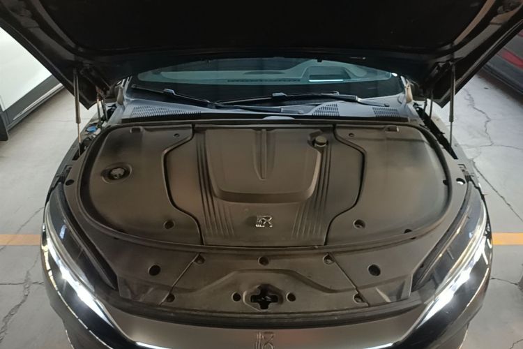 BYD Han 2024 car image #20
