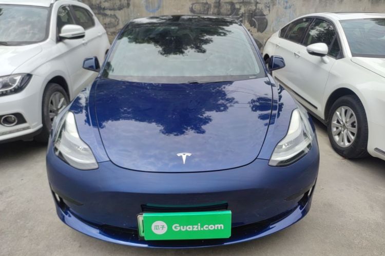 Tesla Model 3 2021 #3 Tesla Model 3 2021 car image #3