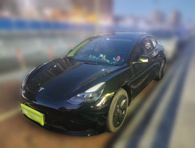 Tesla Model 3 2022 Tesla Model 3 2022 car image