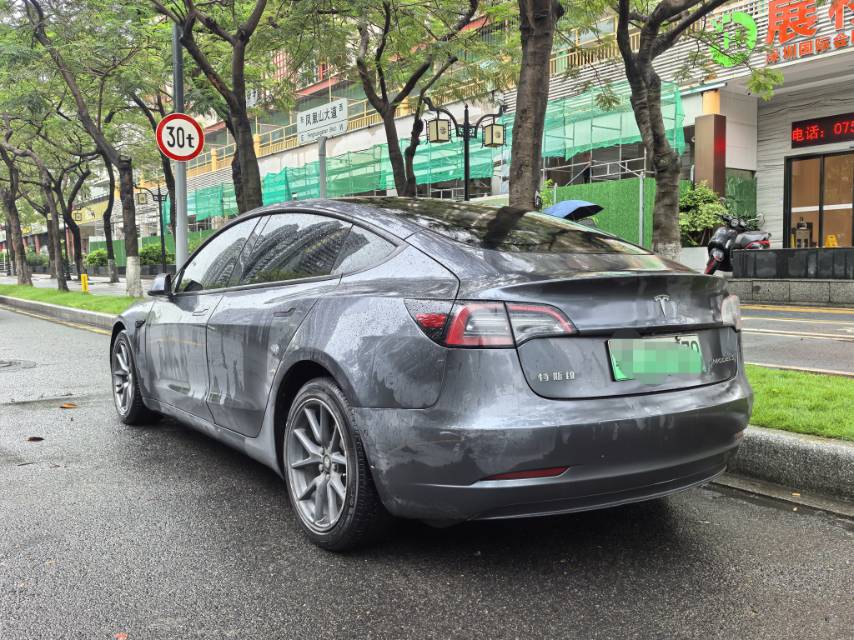 Tesla Model 3 2021 car image #9