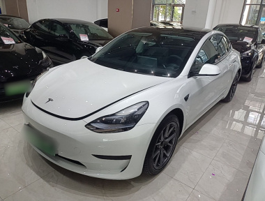 Tesla Model 3 2021 Tesla Model 3 2021 car image