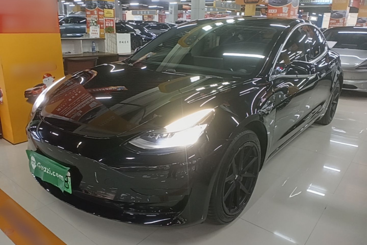 Tesla Model 3 2020 #2 Tesla Model 3 2020 car image #2