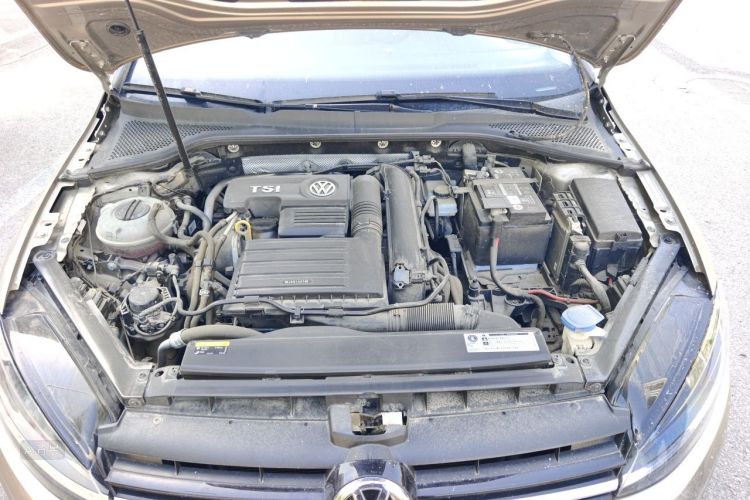 Volkswagen Golf 2019 #22 Volkswagen Golf 2019 car image #22