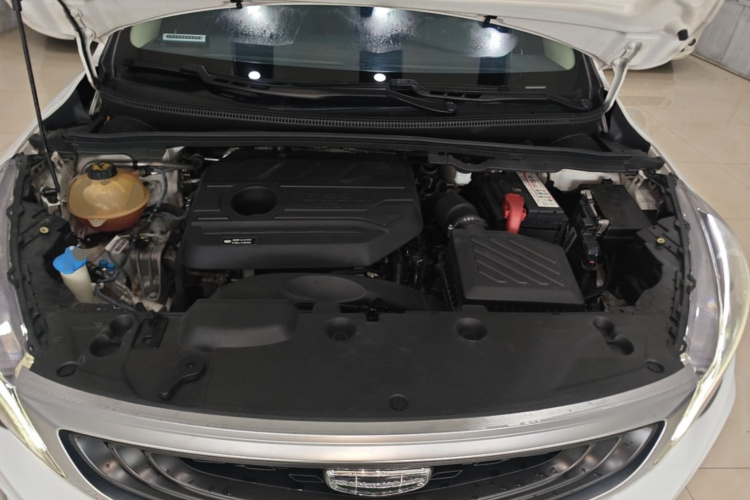 GEELY Emgrand GS 2020 #20 GEELY Emgrand GS 2020 car image #20