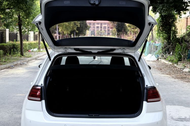 Volkswagen Golf 2018 car image #19