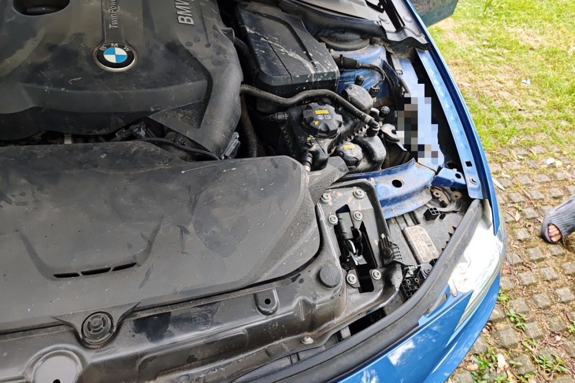 BMW 3 Series 2017 #12 BMW 3 Series 2017 immagine di auto #12
