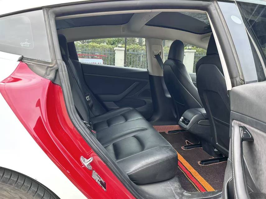 Tesla Model 3 2020 car image #6
