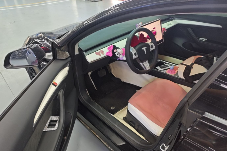 Tesla Model 3 2022 #16 Tesla Model 3 2022 car image #16