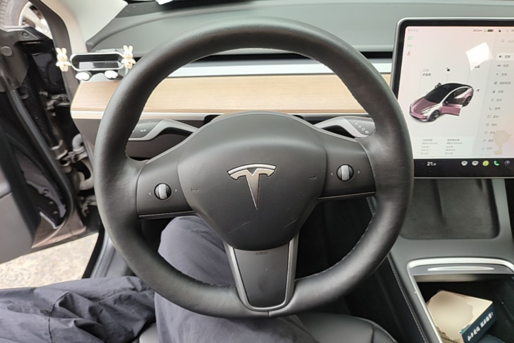 Tesla Model 3 2021 #11 Tesla Model 3 2021 car image #11