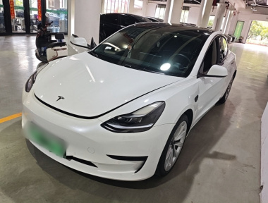 Tesla Model 3 2022 Tesla Model 3 2022 car image