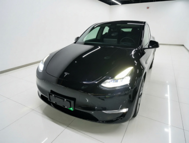 Tesla Model Y 2021 Tesla Model Y 2021 car image