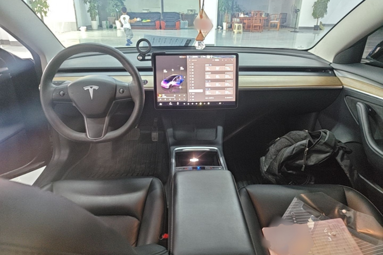 Tesla Model 3 2023 car image #10