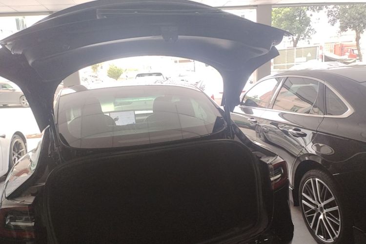 Tesla Model 3 2020 car image #21