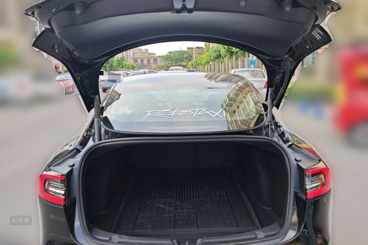 Tesla Model 3 2021 #21 Tesla Model 3 2021 car image #21