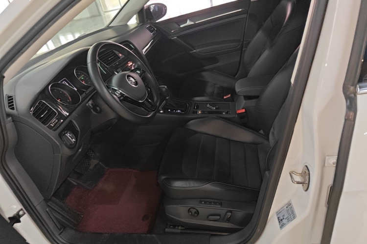 Volkswagen Golf 2019 car image #15