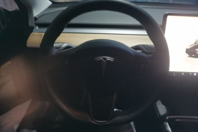 Tesla Model 3 2022 #11 Tesla Model 3 2022 immagine di auto #11
