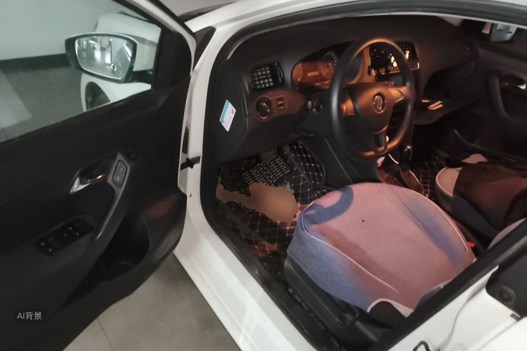 Volkswagen Polo 2017 car image #18
