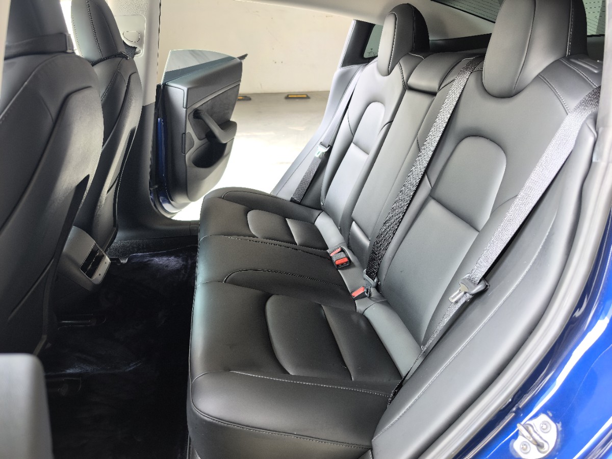 Tesla Model 3 2020 #8 Tesla Model 3 2020 car image #8