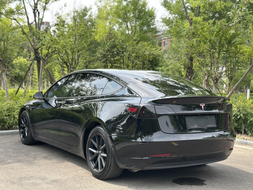 Tesla Model 3 2021 car image #7