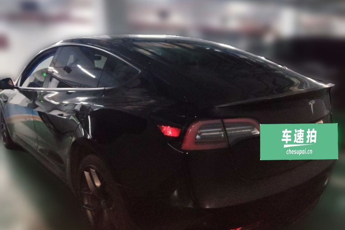 Tesla Model 3 2021 immagine di auto #3