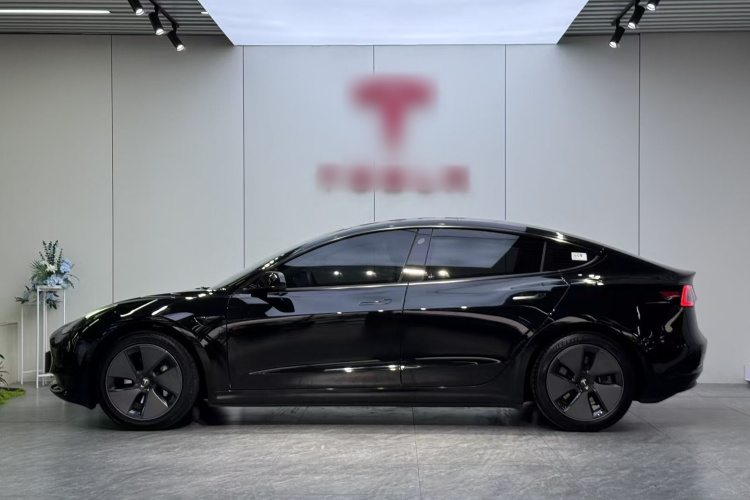 Tesla Model 3 2023 #7 Tesla Model 3 2023 car image #7