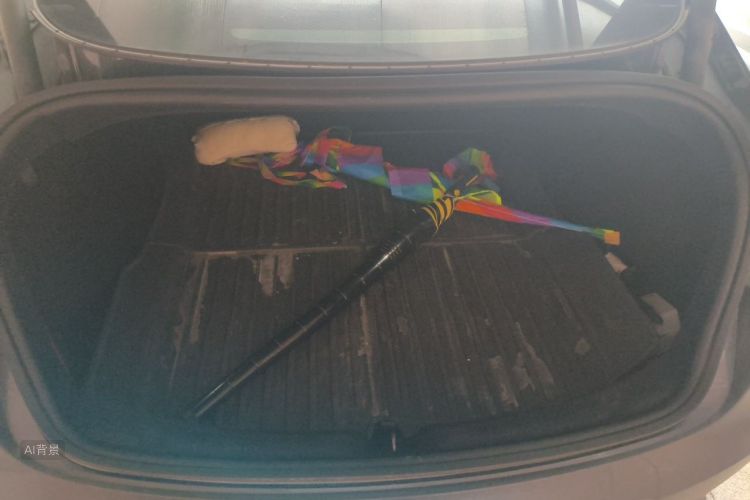 Tesla Model 3 2024 car image #21