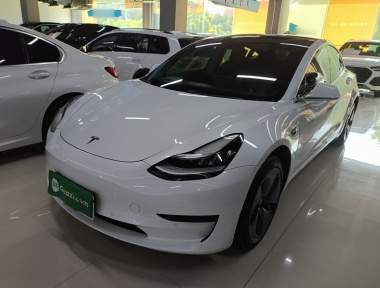 Tesla Model 3 2020 Tesla Model 3 2020 immagine di auto