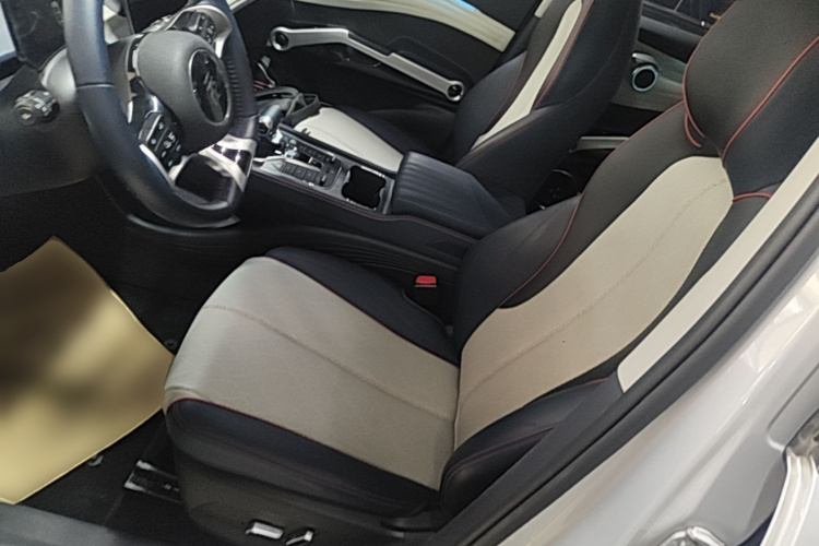 BYD Yuan Plus 2022 immagine di auto #19