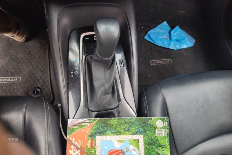 Toyota Corolla 2021 car image #16