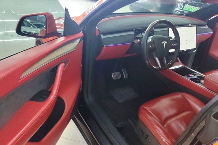 Tesla Model Y 2021 car image #12