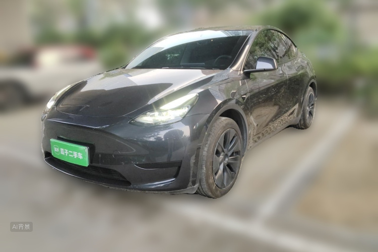 Tesla Model Y 2024 car image #2