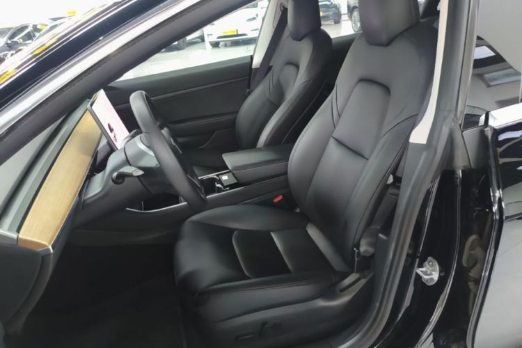 Tesla Model 3 2020 car image #19