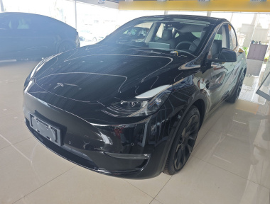 Tesla Model Y 2021 Tesla Model Y 2021 car image