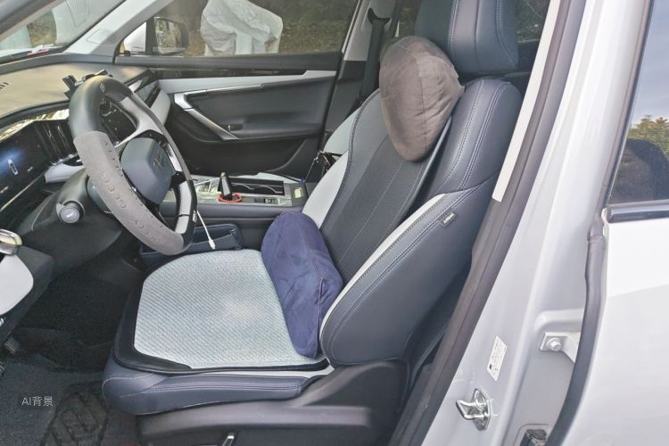 GEELY Boyue L 2024 imagen de coche #17