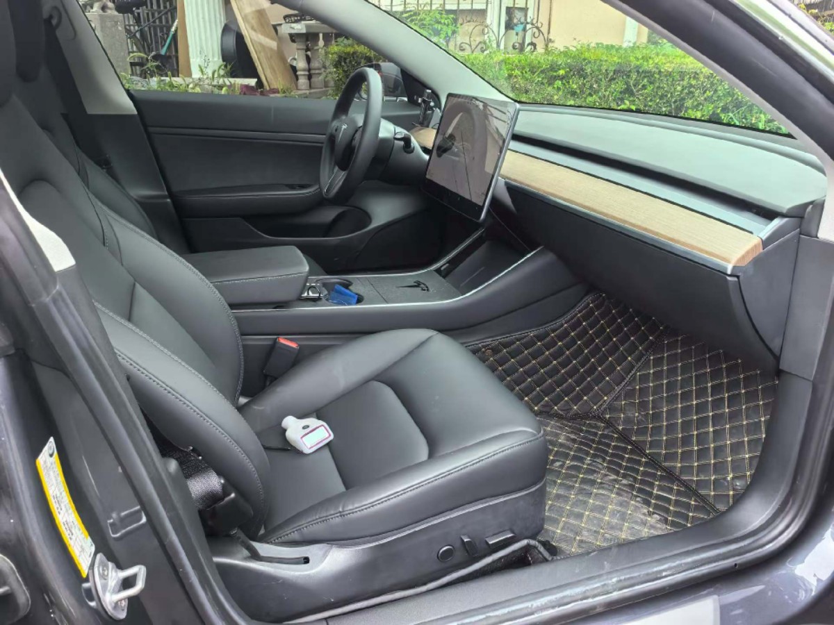 Tesla Model 3 2020 #6 Tesla Model 3 2020 car image #6