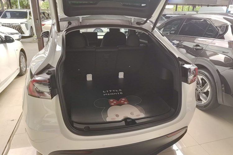 Tesla Model Y 2021 car image #19