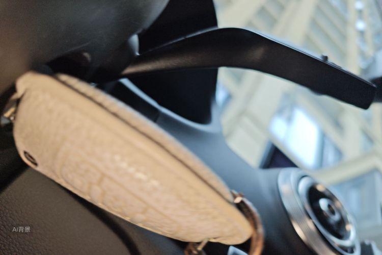 奥迪 奥迪A3 2021 汽车图片 #10