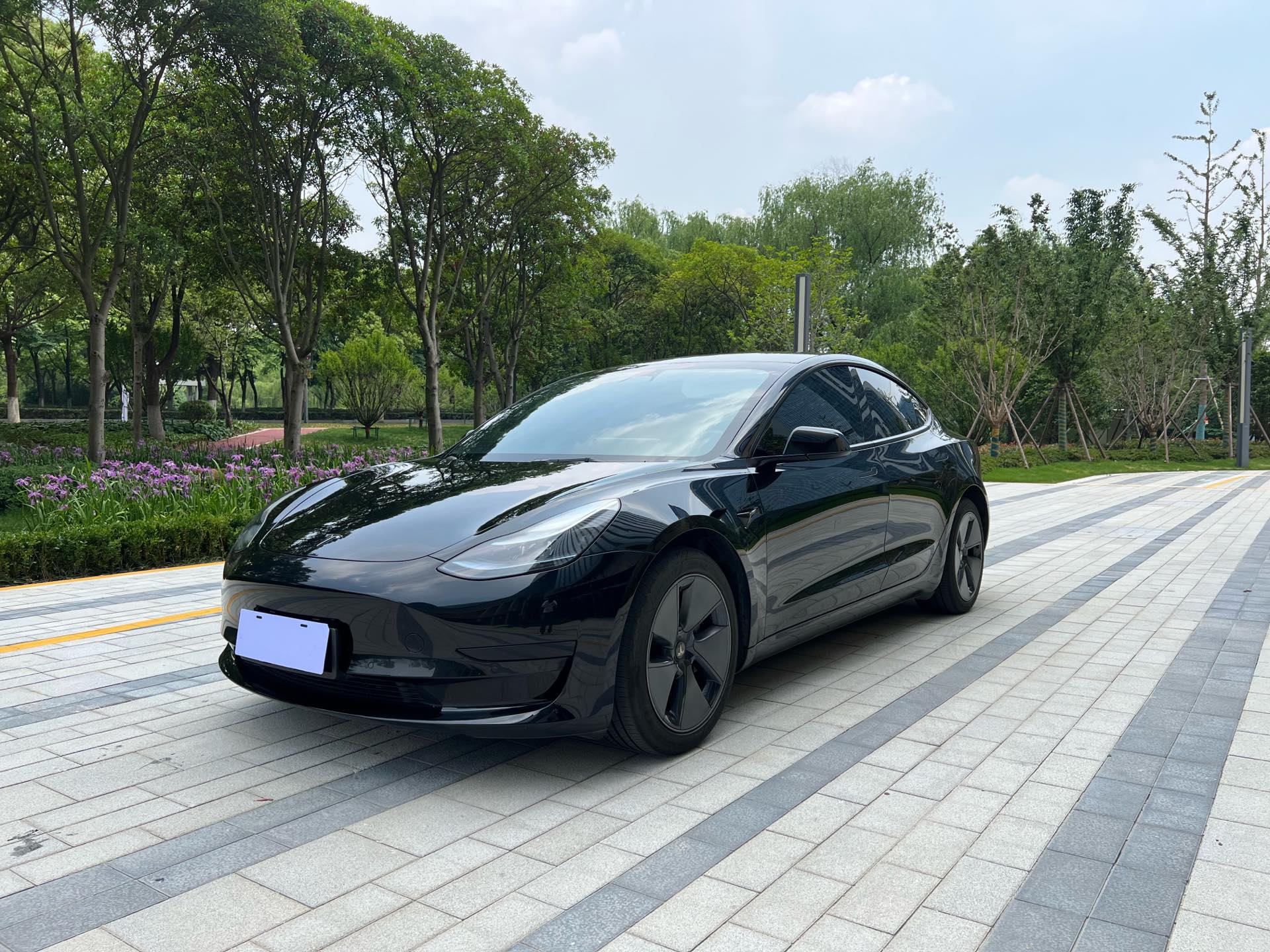 Tesla Model 3 2023 Tesla Model 3 2023 car image