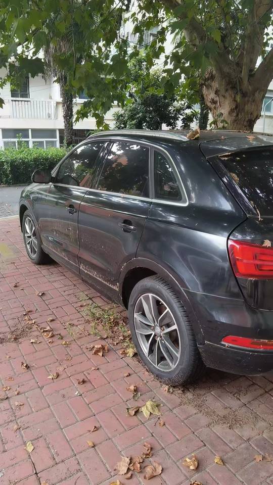 Audi Q3 2016 #2 Audi Q3 2016 car image #2