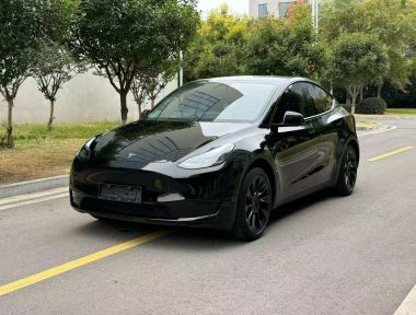Tesla Model Y 2023 Tesla Model Y 2023 car image