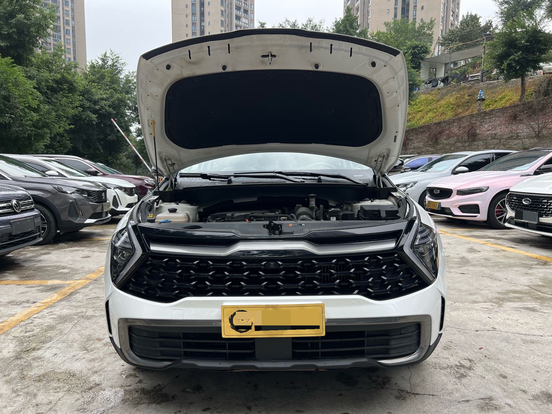 Kia Sportage 2024 #4 Kia Sportage 2024 imagem de carro #4
