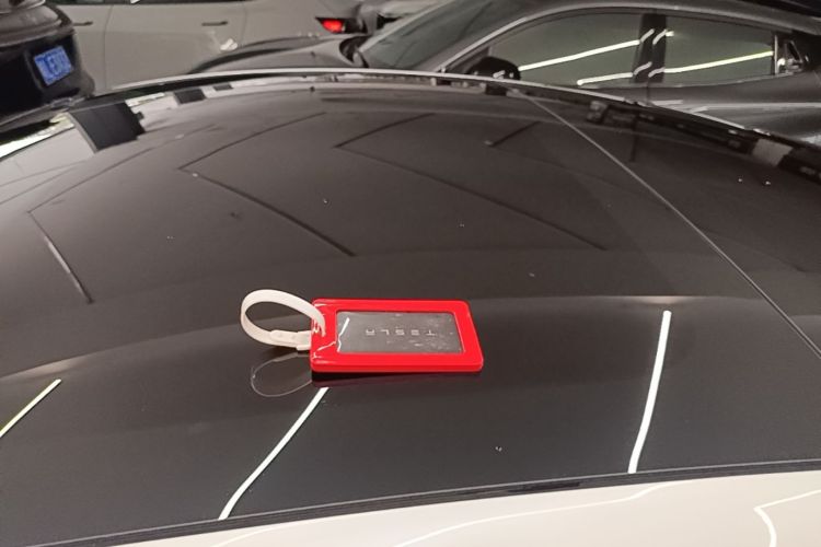 Tesla Model 3 2021 #23 Tesla Model 3 2021 car image #23