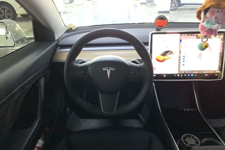 Tesla Model 3 2020 #15 Tesla Model 3 2020 car image #15