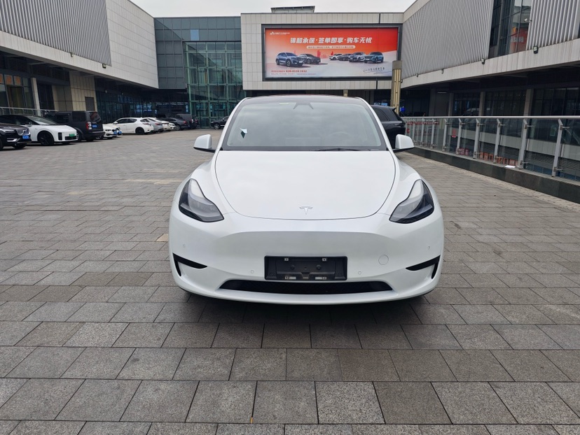 Tesla Model Y 2022 #2 Tesla Model Y 2022 car image #2