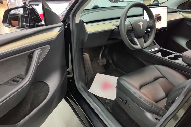 Tesla Model Y 2022 car image #16