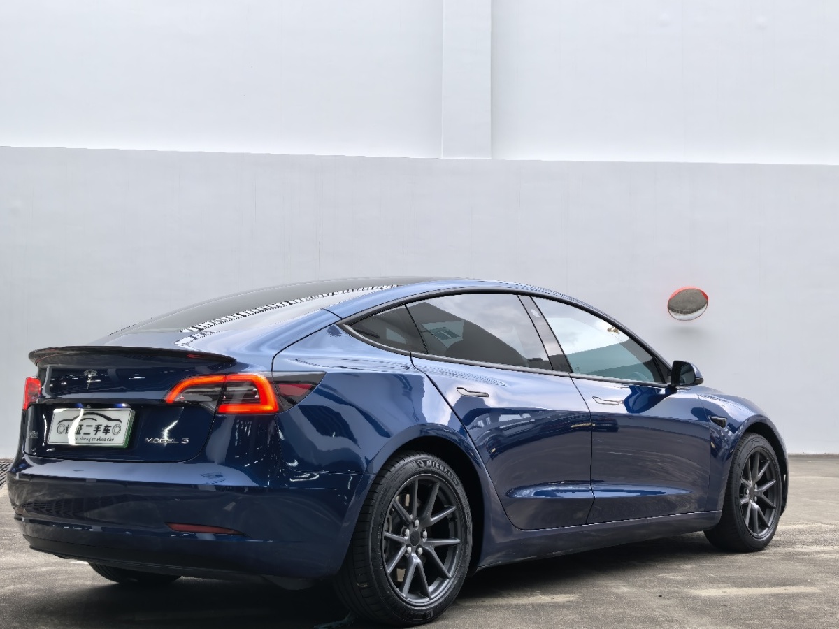 Tesla Model 3 2021 car image #9